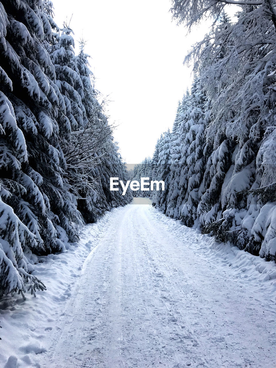 Road amidst snow covered trees against clear sky