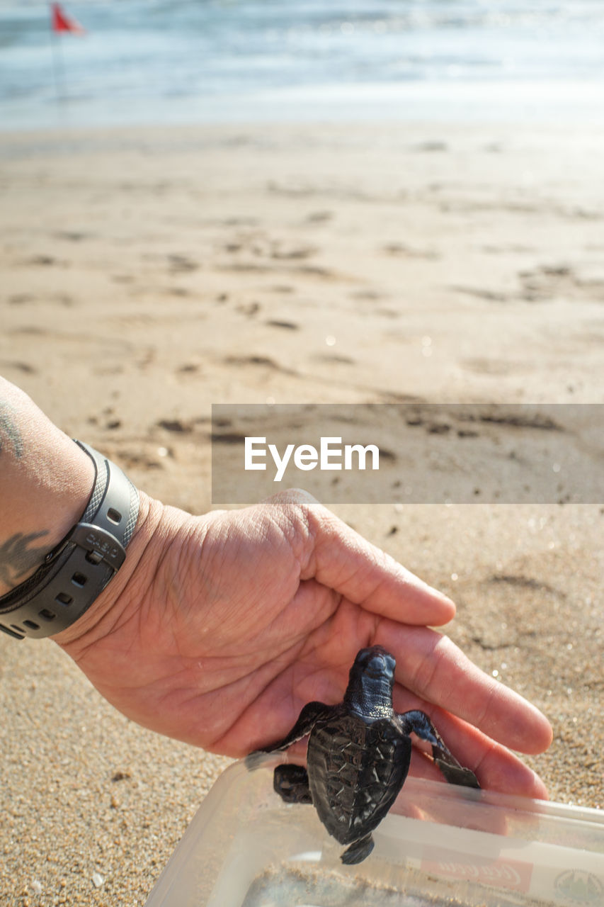 HUMAN HAND HOLDING SAND