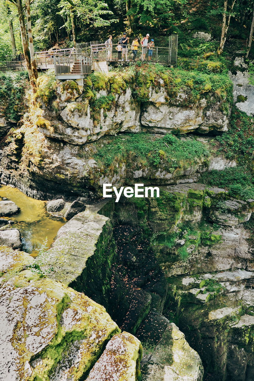 HIGH ANGLE VIEW OF RIVER AMIDST PLANTS AND TREES