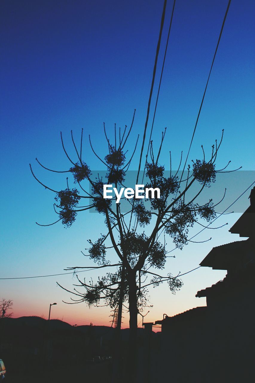 LOW ANGLE VIEW OF SILHOUETTE TREES AGAINST CLEAR SKY