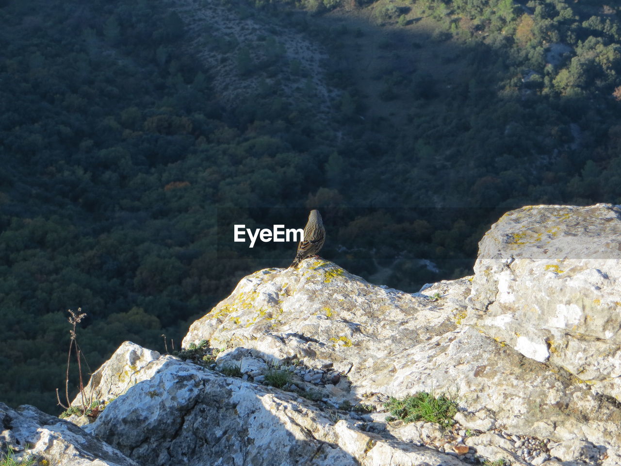 VIEW OF ROCK FORMATIONS