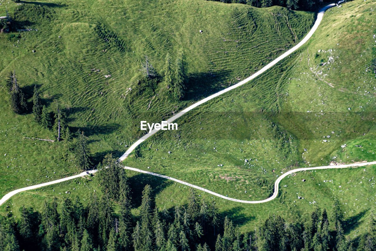 High angle view of winding road amidst trees in forest