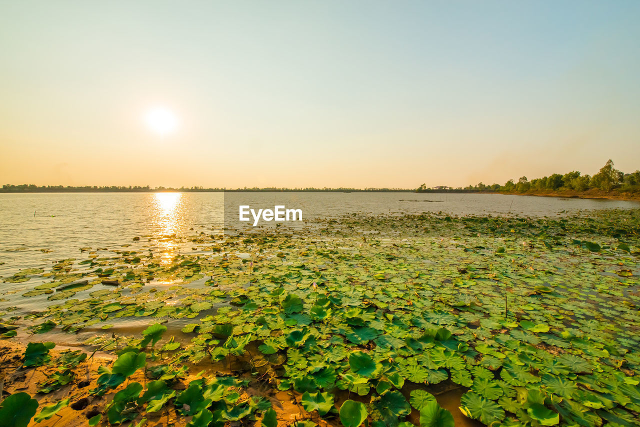 SCENIC VIEW OF LAKE AGAINST SUNSET SKY