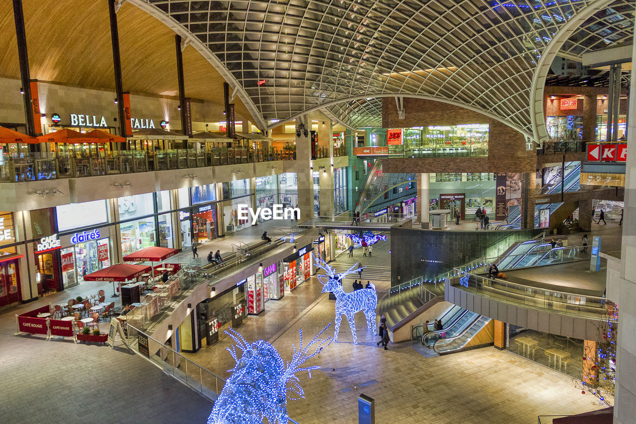 GROUP OF PEOPLE IN ILLUMINATED STORE