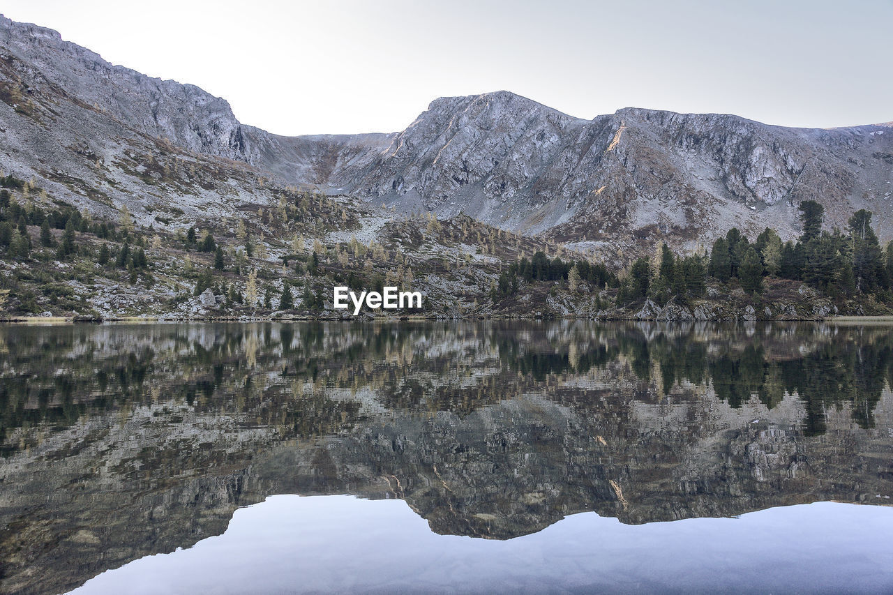 Reflection of tree on mountain against sky