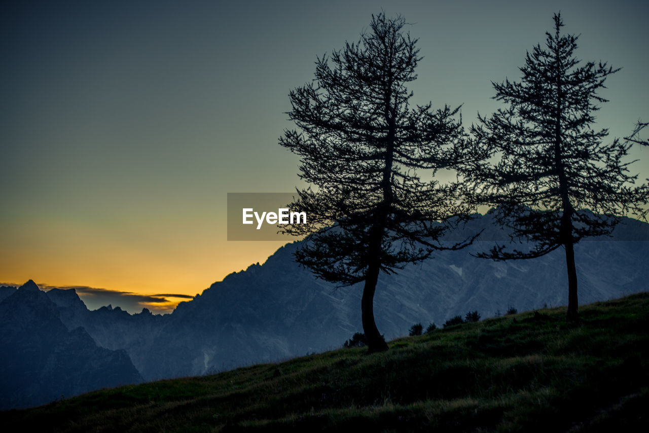 Trees on mountain against sky at sunset