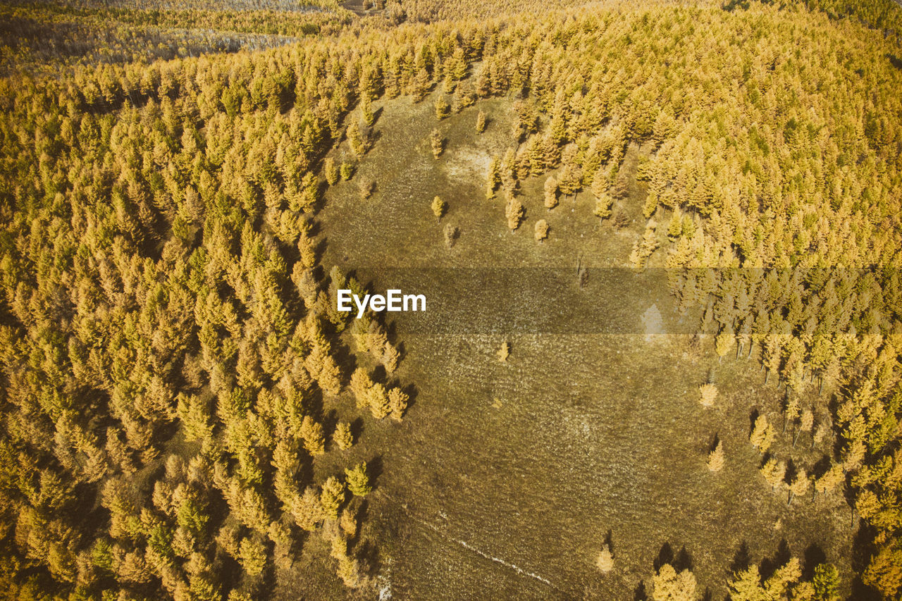 High angle view of agricultural field