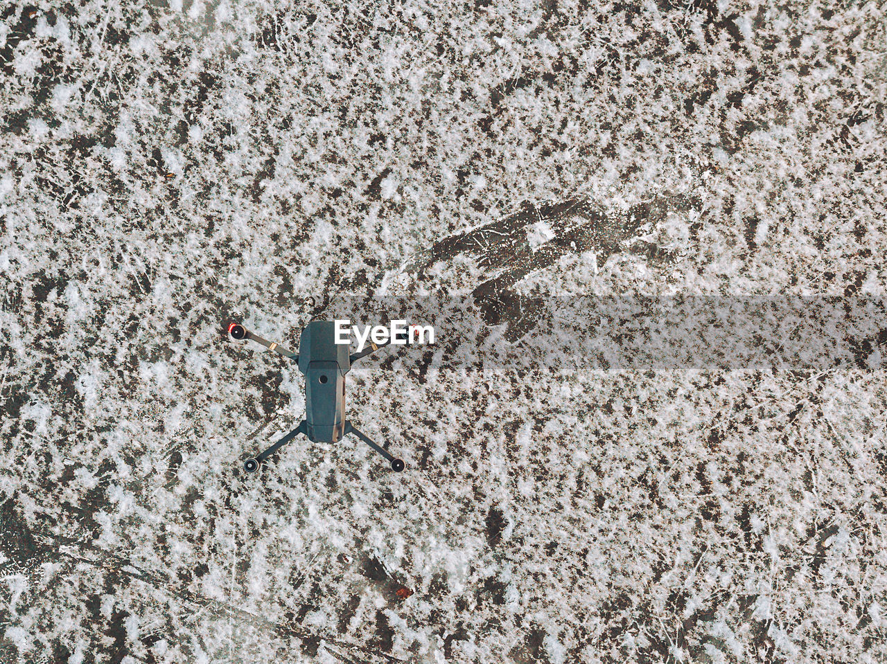 HIGH ANGLE VIEW OF WHITE FLOWERS ON WALL BY LAND