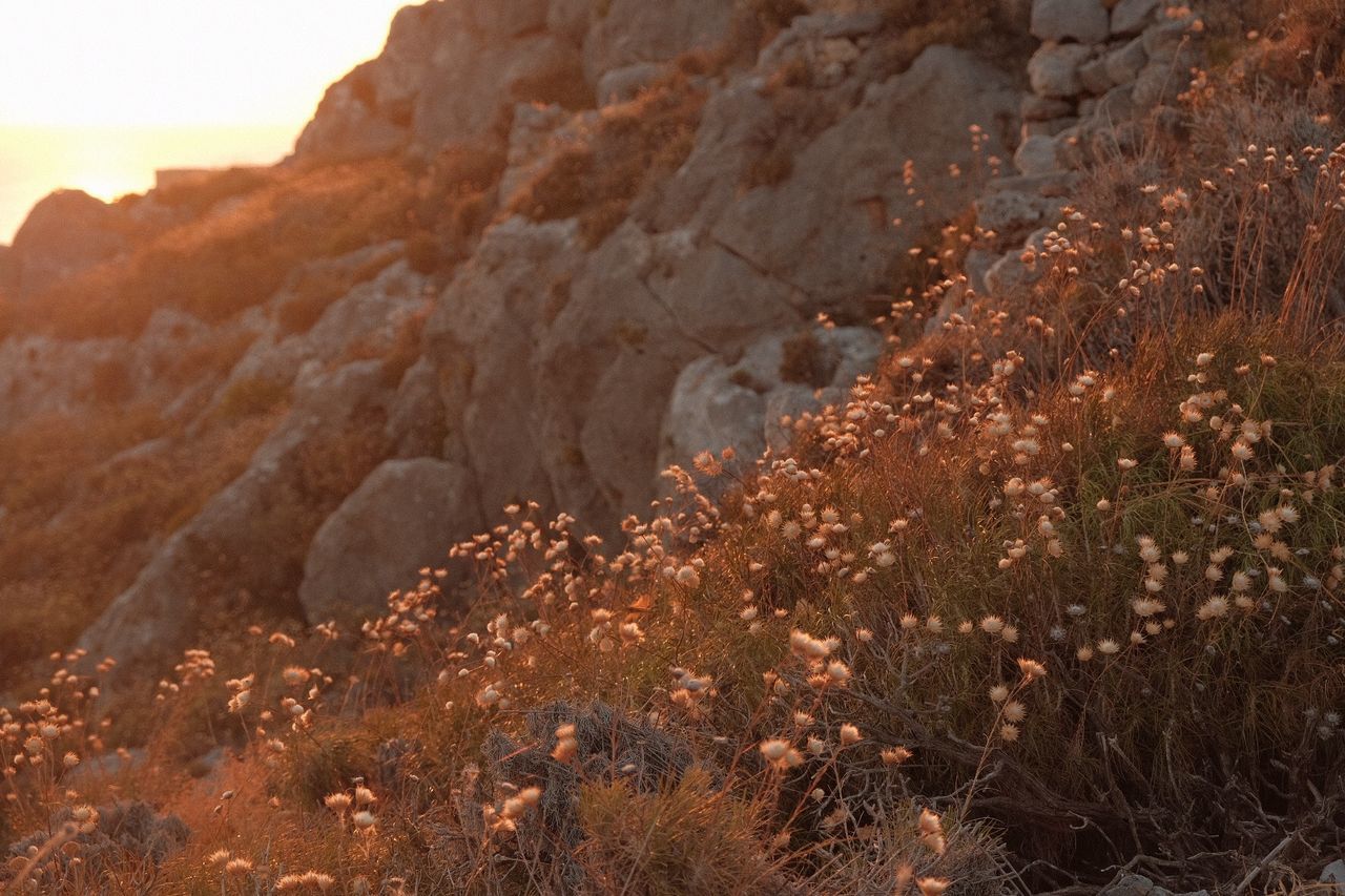 SCENIC VIEW OF ROCK FORMATION ON DESERT