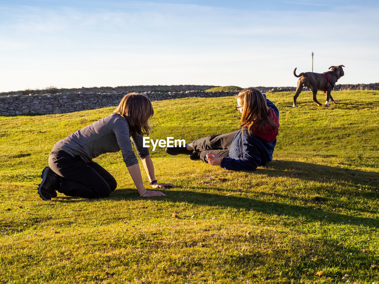 Girl and woman with dog on grass against sky