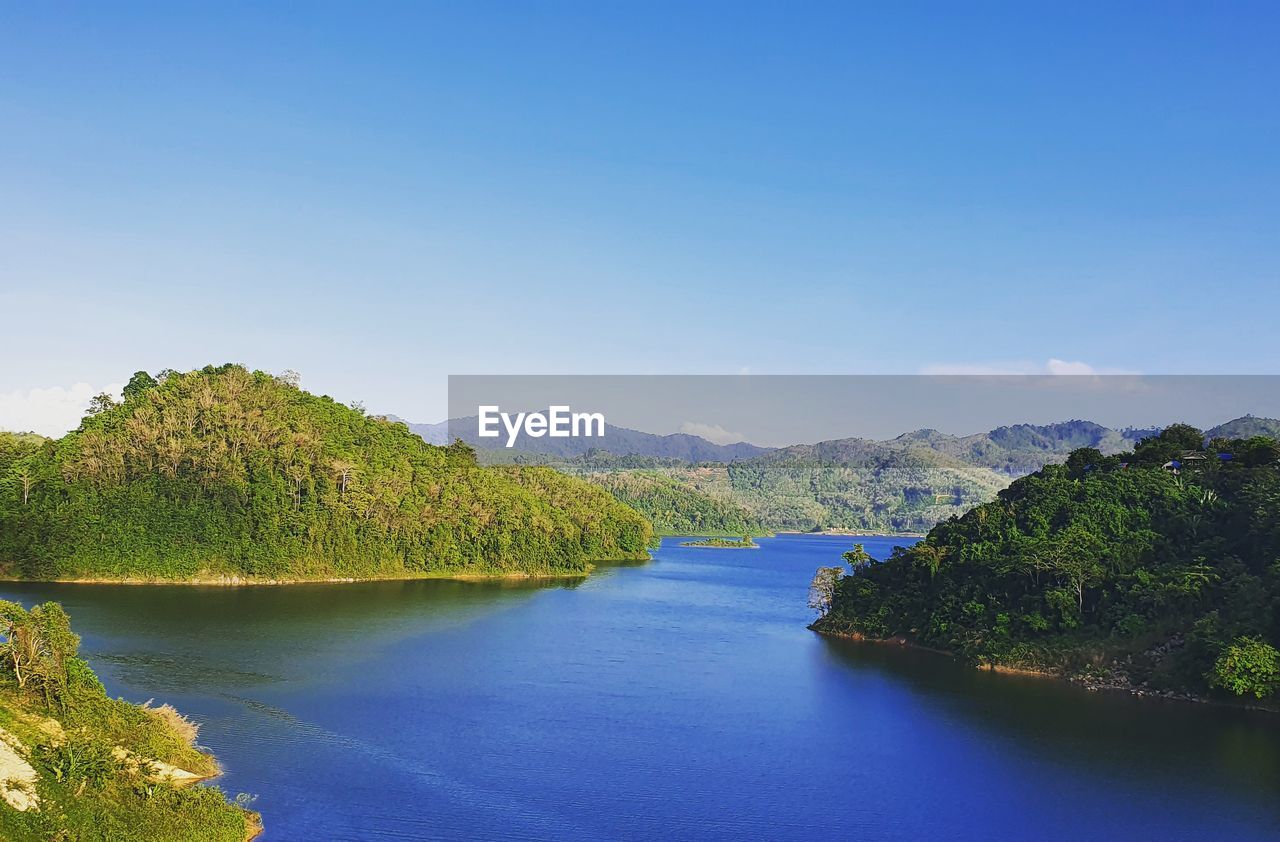 Scenic view of river amidst trees against blue sky