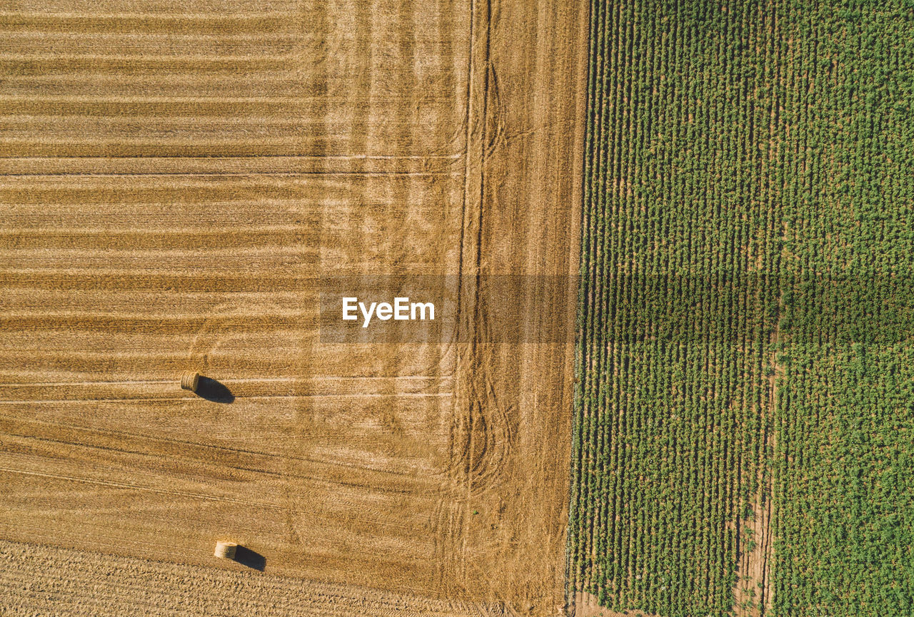 Directly above aerial shot of hay bales on agricultural field