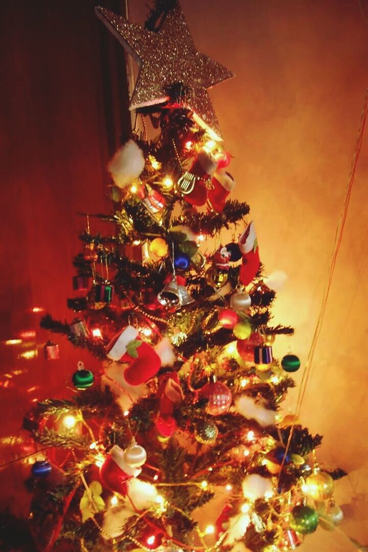 LOW ANGLE VIEW OF ILLUMINATED CHRISTMAS TREE AT NIGHT