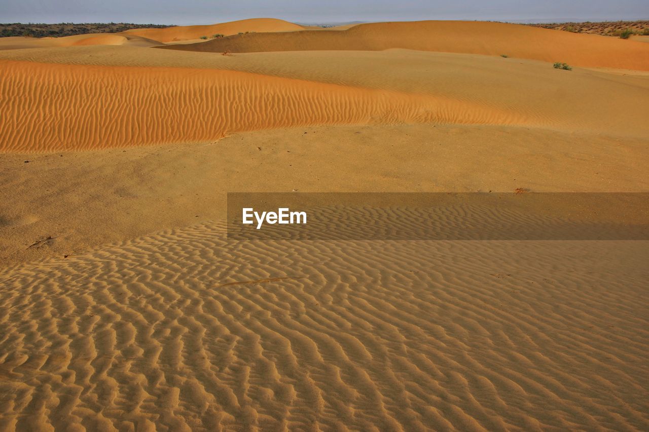 Sand dune in desert