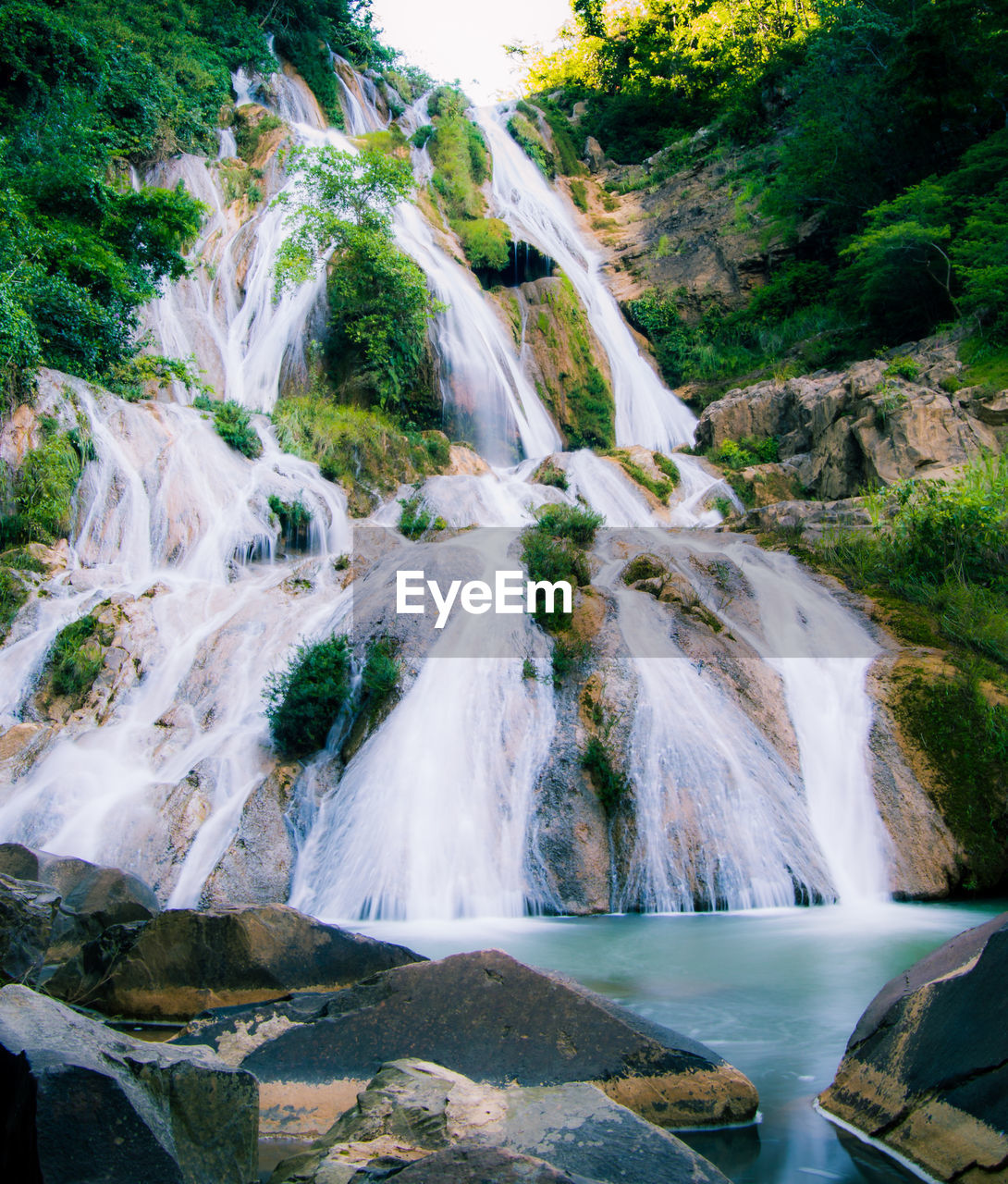 VIEW OF WATERFALL IN FOREST