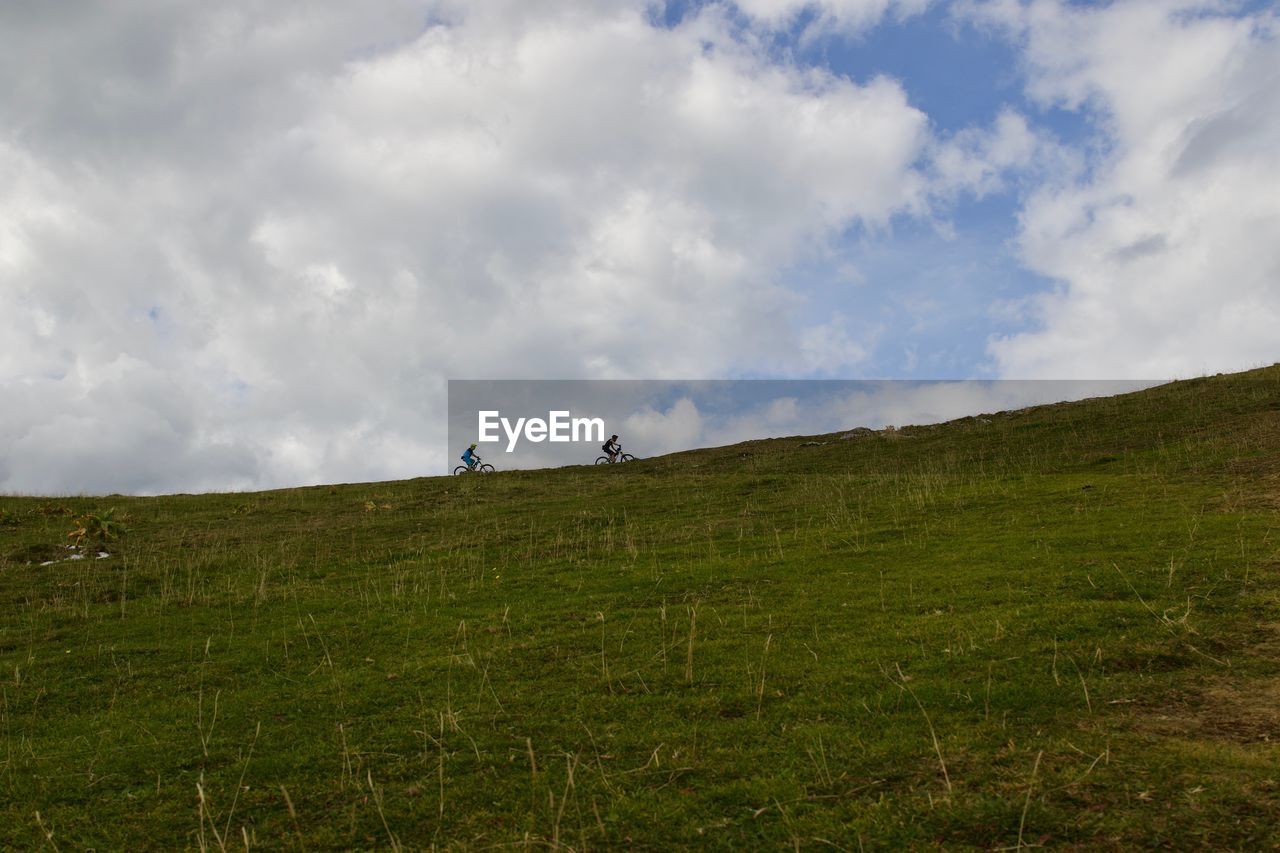 SCENIC VIEW OF LANDSCAPE