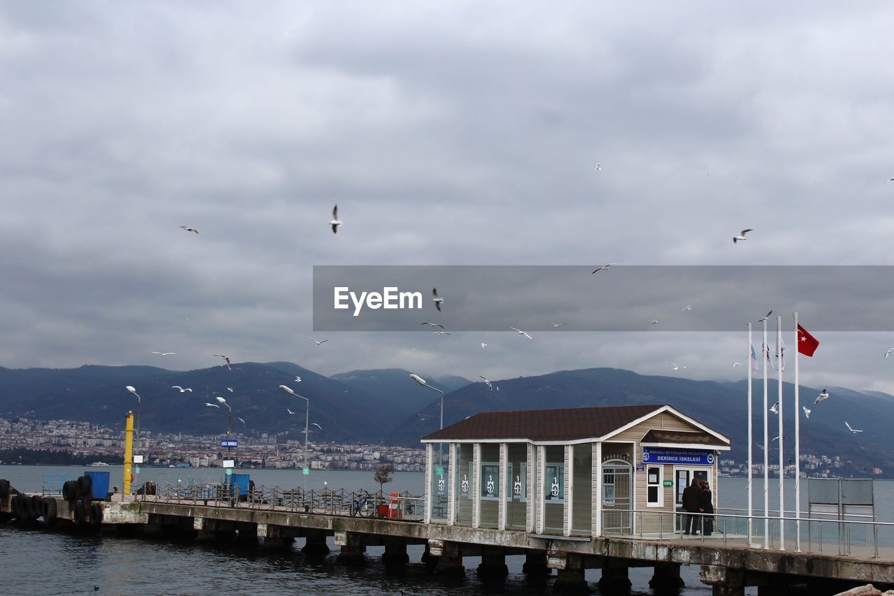 VIEW OF BIRDS FLYING OVER SEA