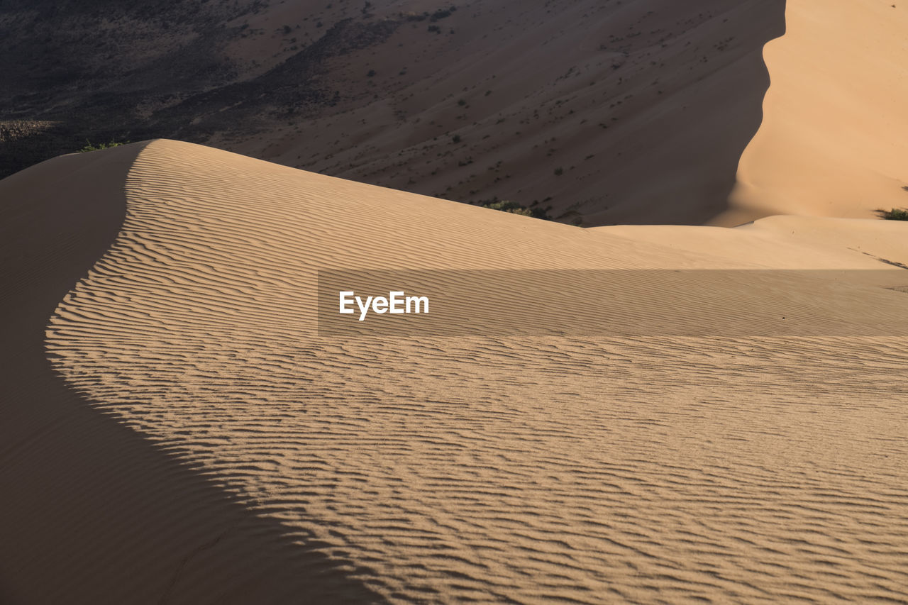 Sand dunes in desert