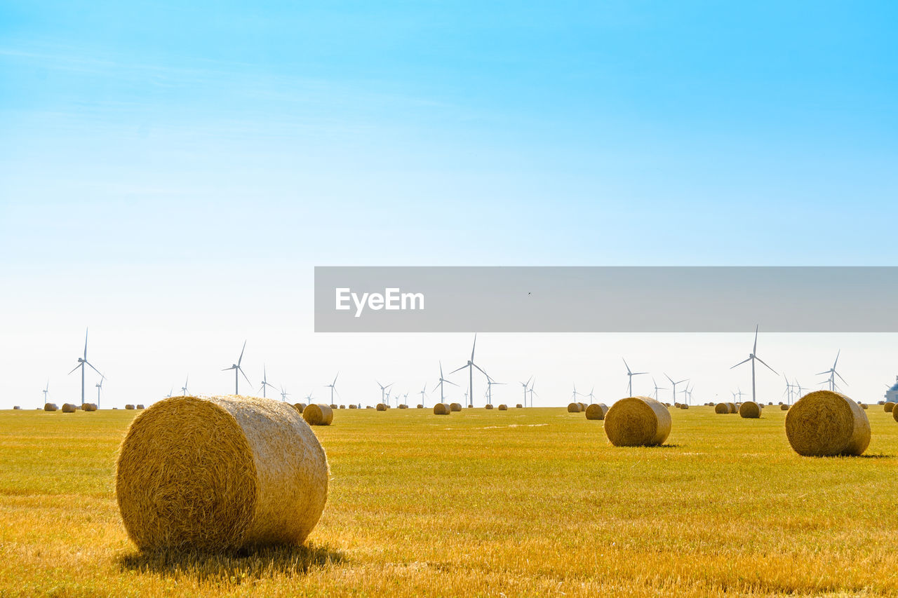 environment, agriculture, landscape, environmental conservation, hay, field, farm, rural scene, sky, bale, turbine, wind turbine, land, wind power, renewable energy, nature, plant, power generation, plain, alternative energy, prairie, crop, beauty in nature, grassland, windmill, cereal plant, blue, rural area, harvesting, grass, scenics - nature, no people, straw, sunlight, tranquility, tranquil scene, technology, sustainable resources, outdoors, social issues, meadow, copy space, clear sky, horizon, day, corn, wind, electricity, rolled up, food