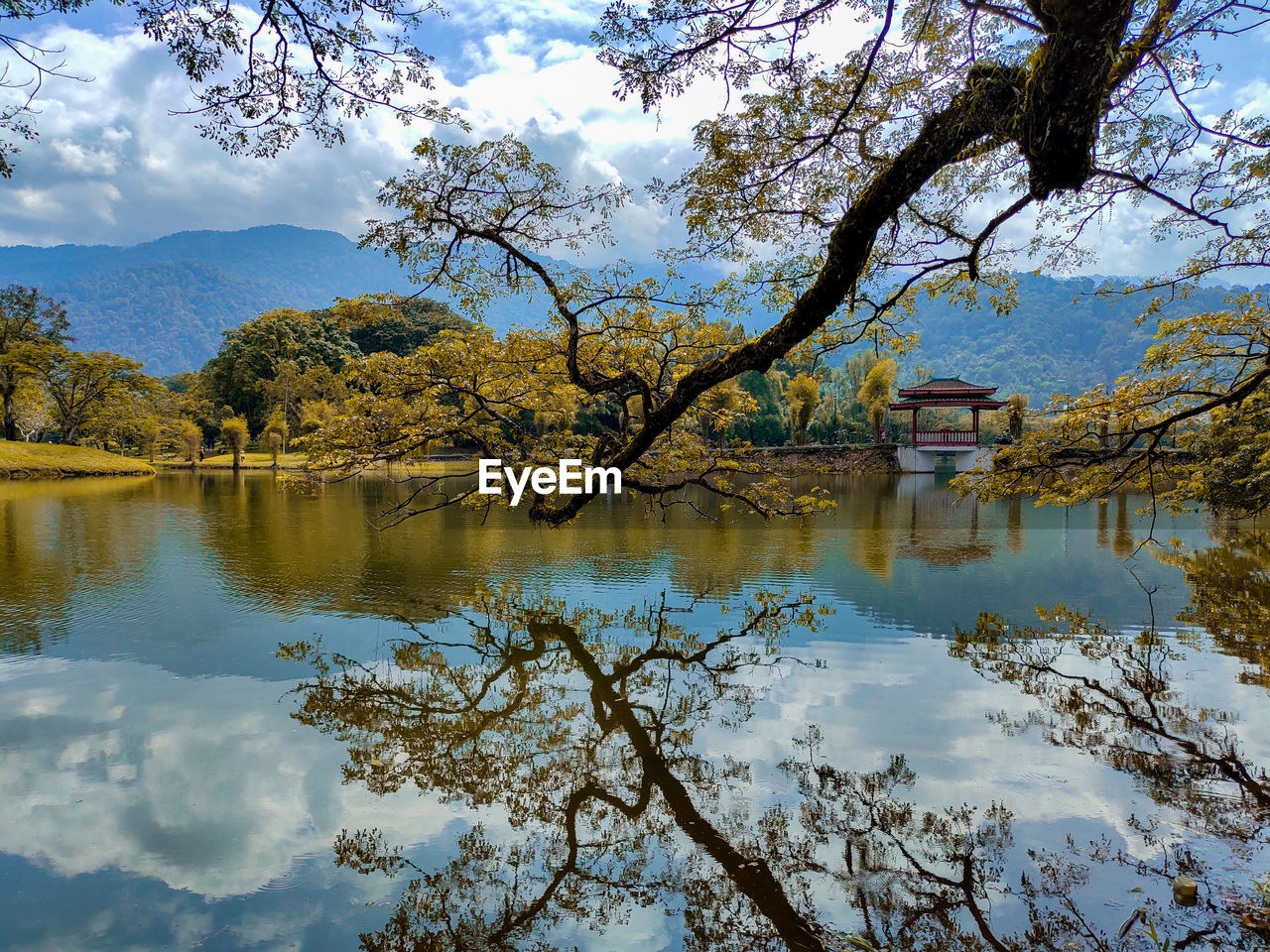 TREES BY LAKE AGAINST SKY