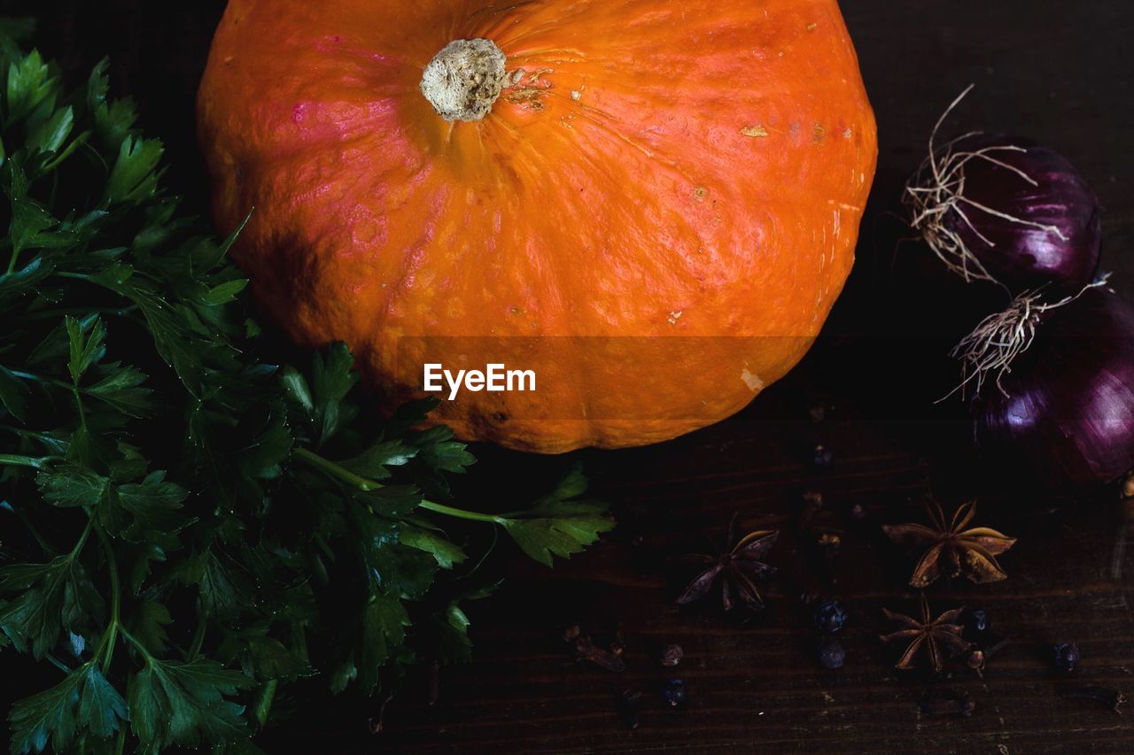 CLOSE-UP OF PUMPKINS ON AUTUMN