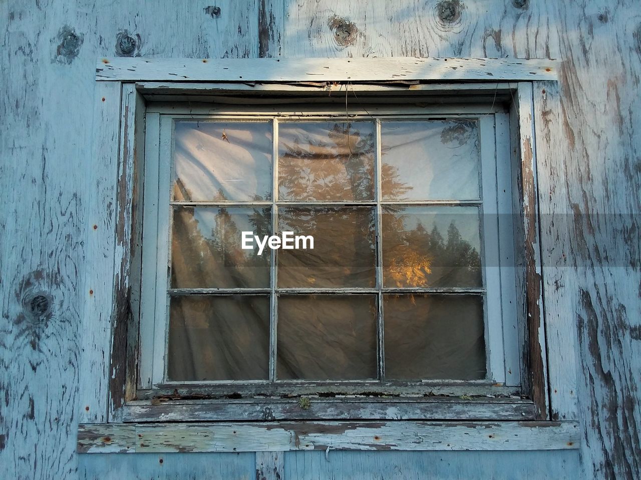 Closed wooden framed window with tree line reflection