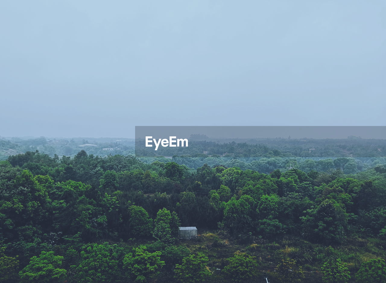 SCENIC VIEW OF TREES AND LANDSCAPE AGAINST SKY