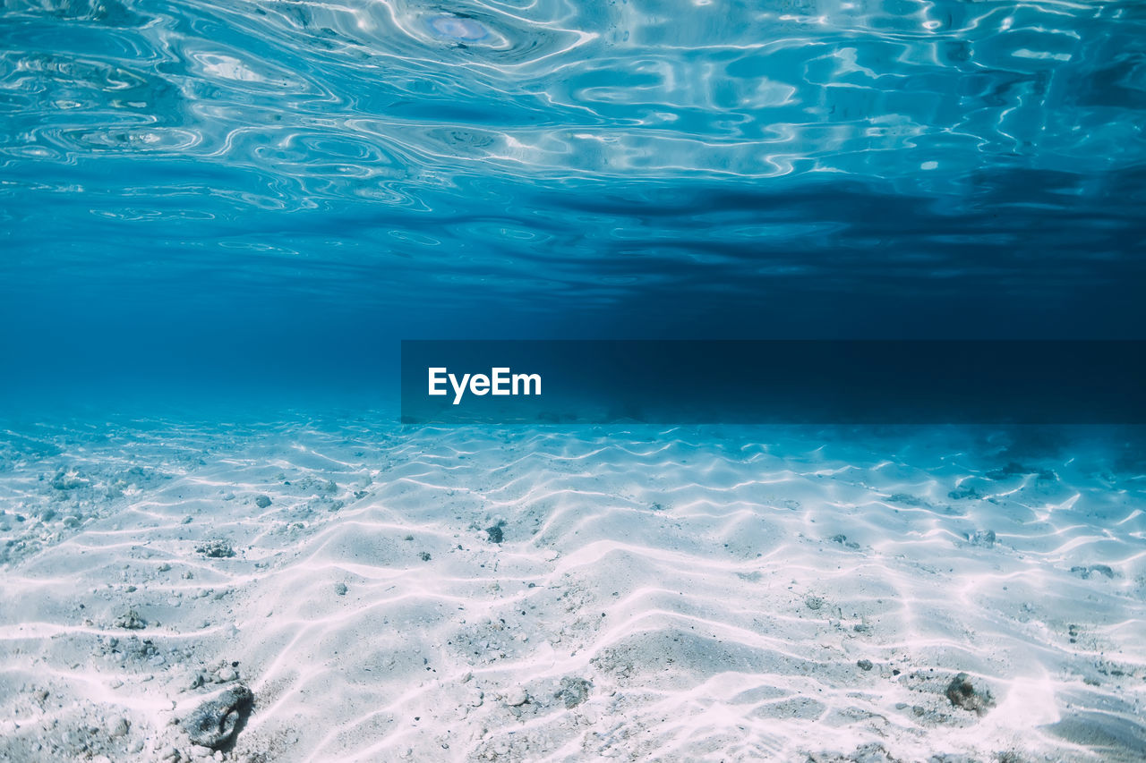 aerial view of swimming in sea