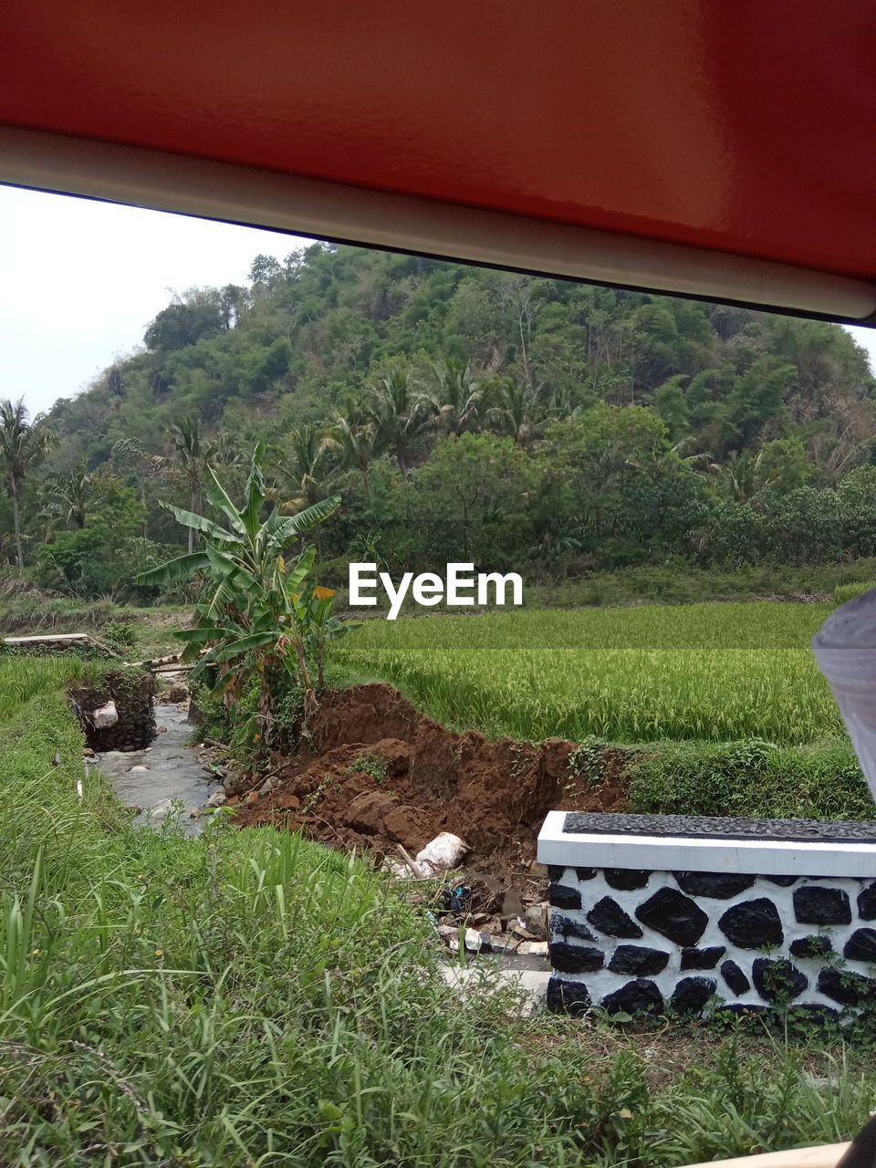 SCENIC VIEW OF AGRICULTURAL FIELD