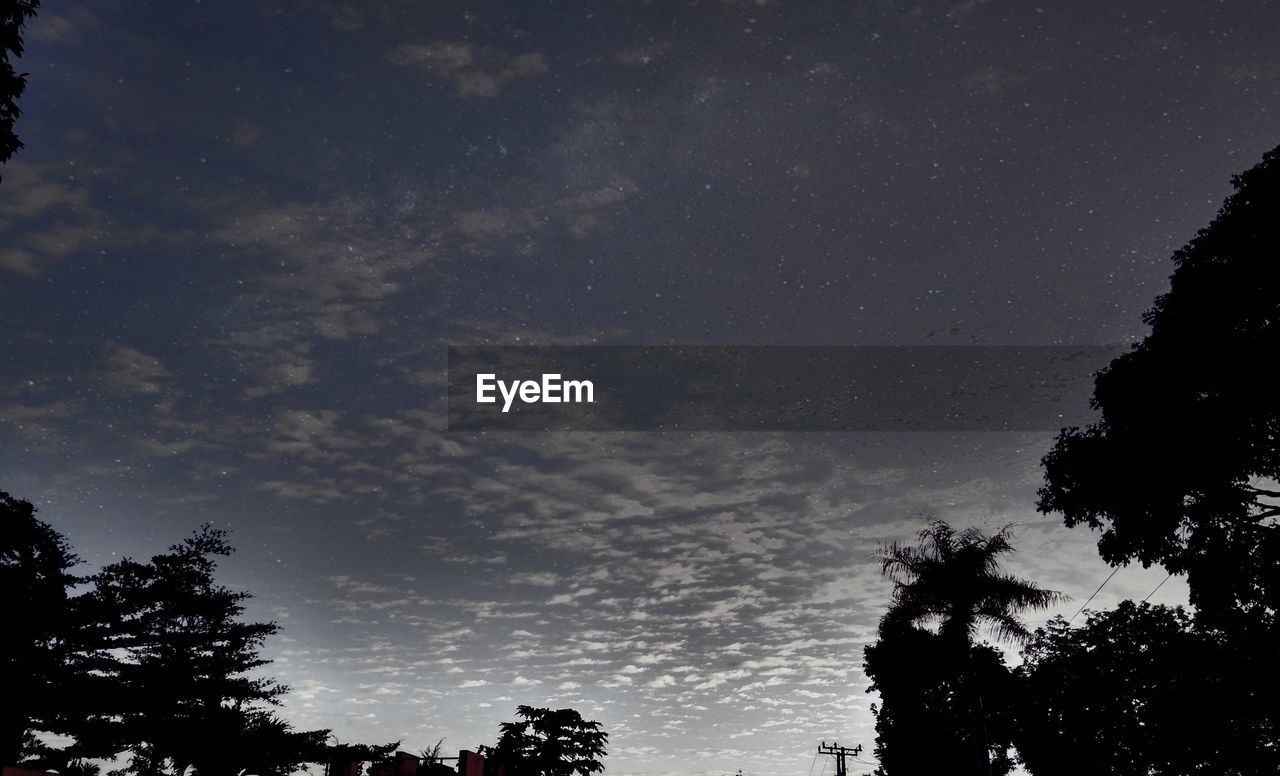 LOW ANGLE VIEW OF SILHOUETTE TREE AGAINST SKY AT NIGHT