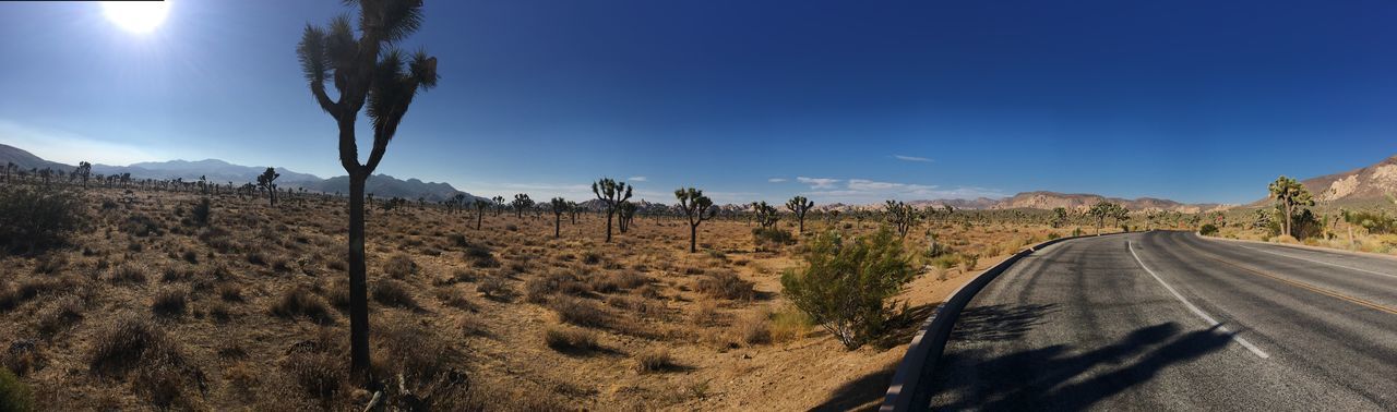 Panoramic view of road amidst desert against sky