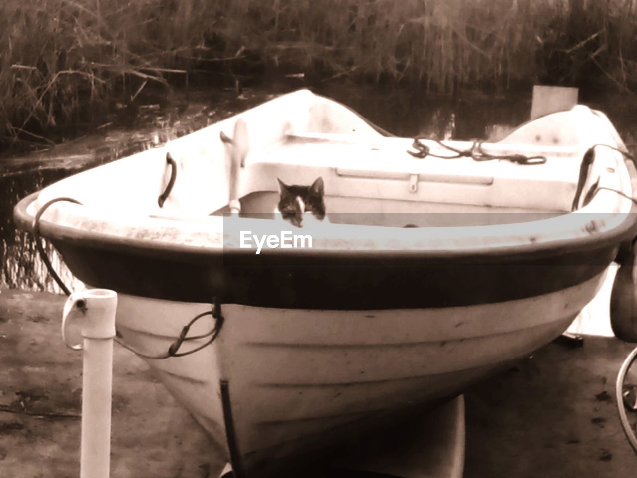 CLOSE-UP OF BOAT IN WATER