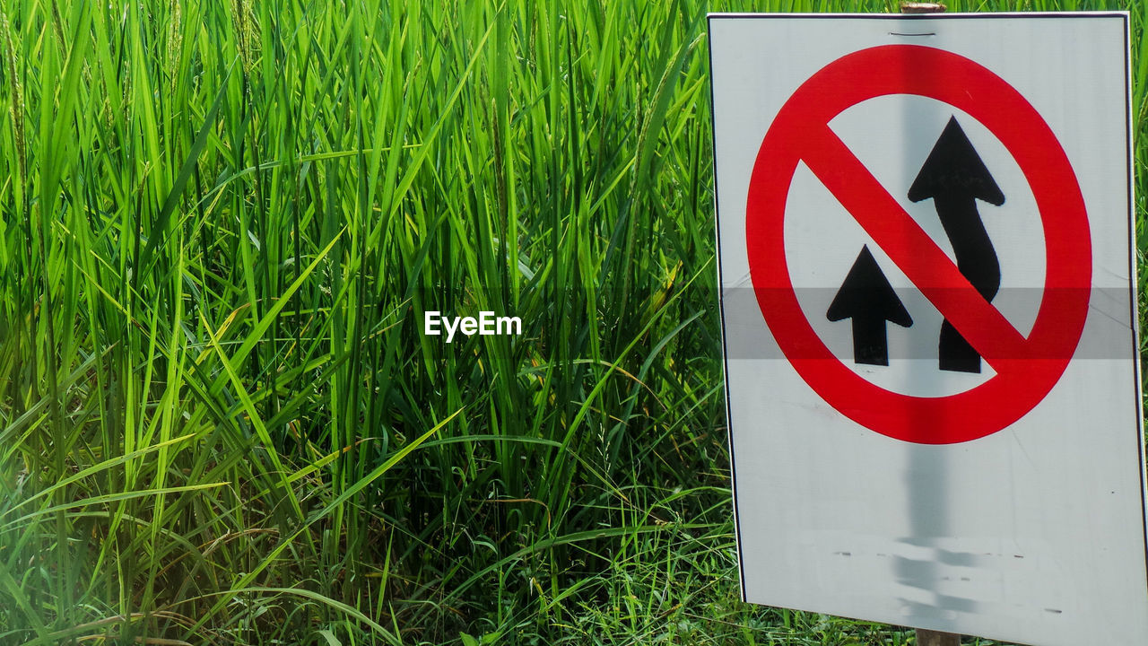 INFORMATION SIGN ON GRASS