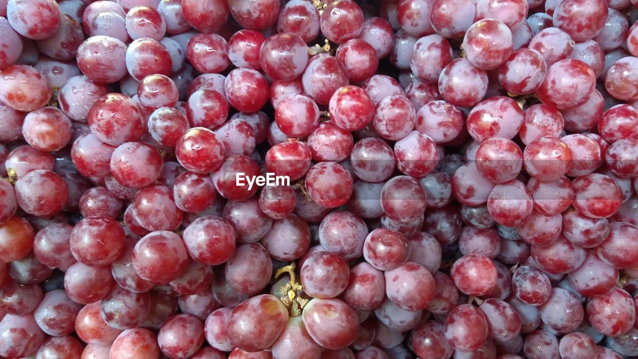 FULL FRAME SHOT OF RED BERRIES