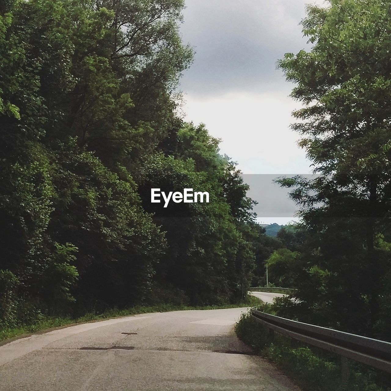 ROAD PASSING THROUGH TREES