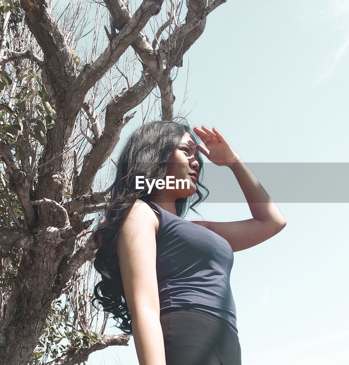 Low angle view of girl looking away while shielding eyes against tree trunk and sky