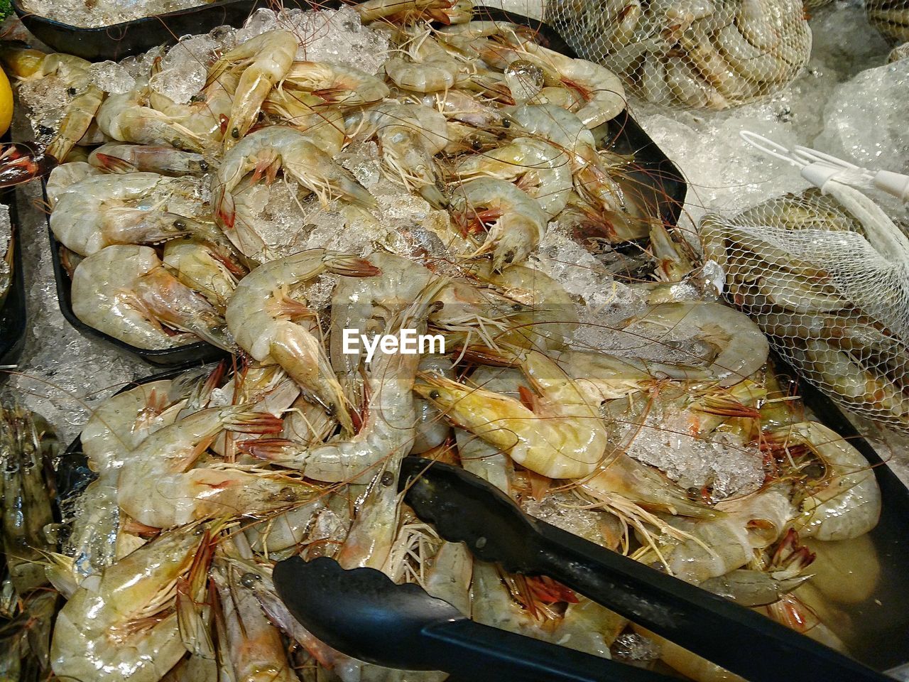 seafood, food and drink, food, healthy eating, freshness, high angle view, prawn, no people, market, fish market, close-up, indoors, day