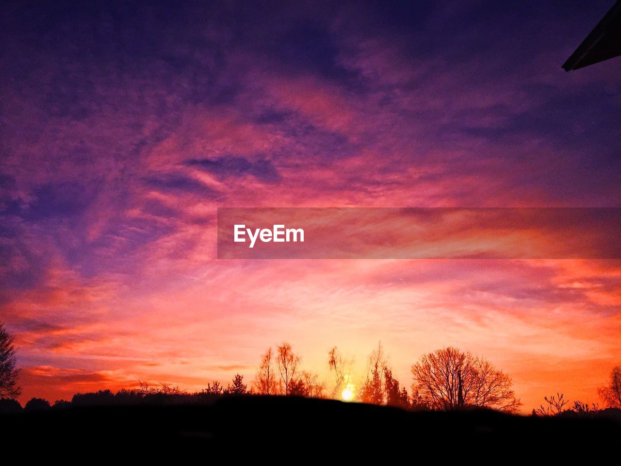 SILHOUETTE TREES AGAINST SKY DURING SUNSET