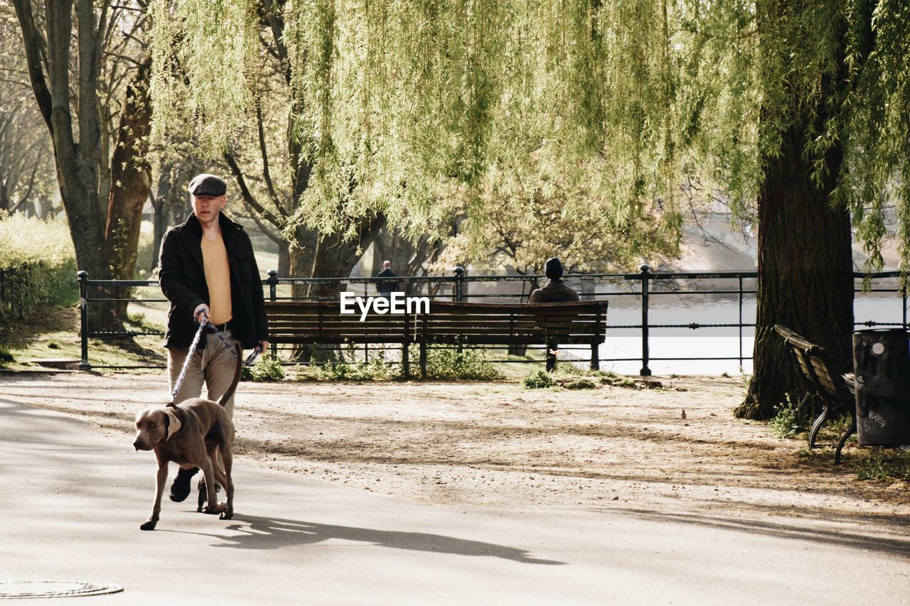 MAN RIDING DOG WALKING ON STREET