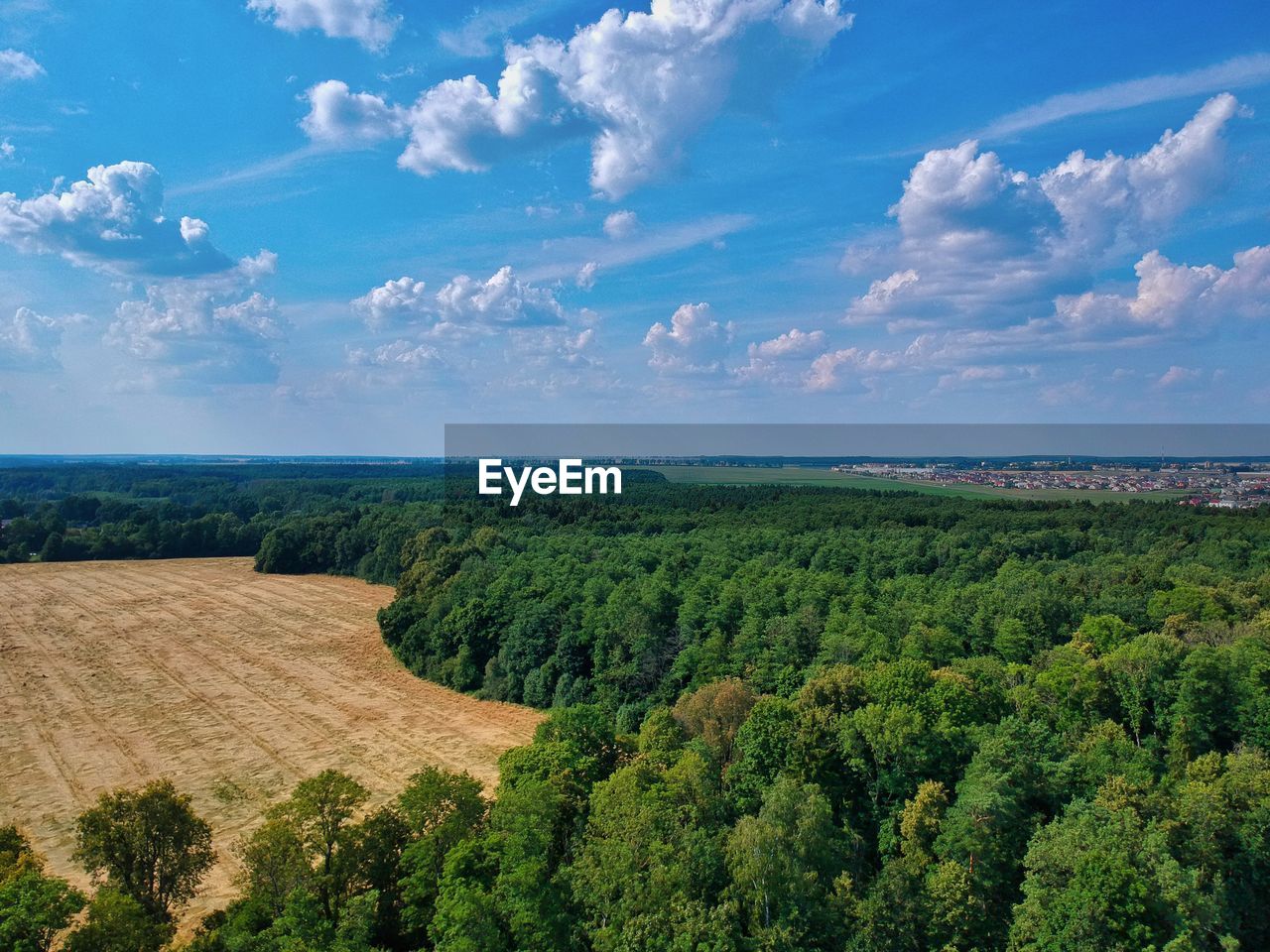 SCENIC VIEW OF TREES AGAINST SKY