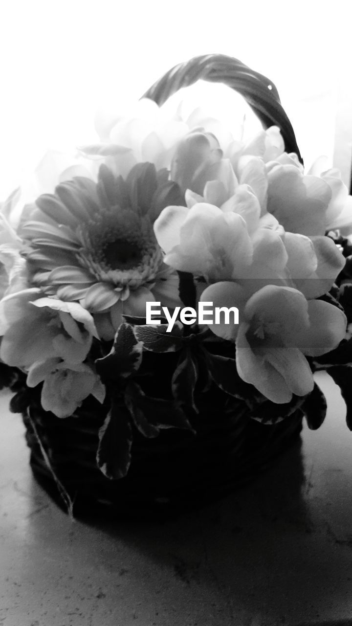 Flowers in basket on table