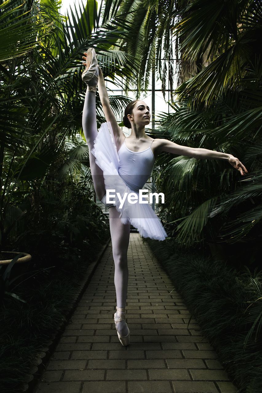 Ballet dancer dancing amidst palm trees