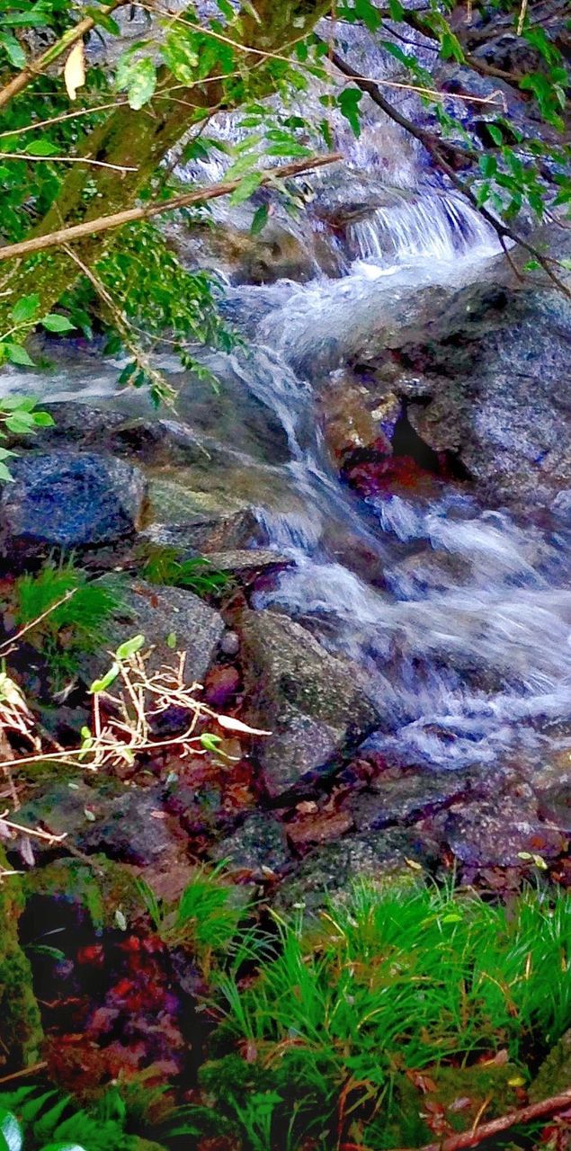 STREAM FLOWING THROUGH ROCKS IN FOREST