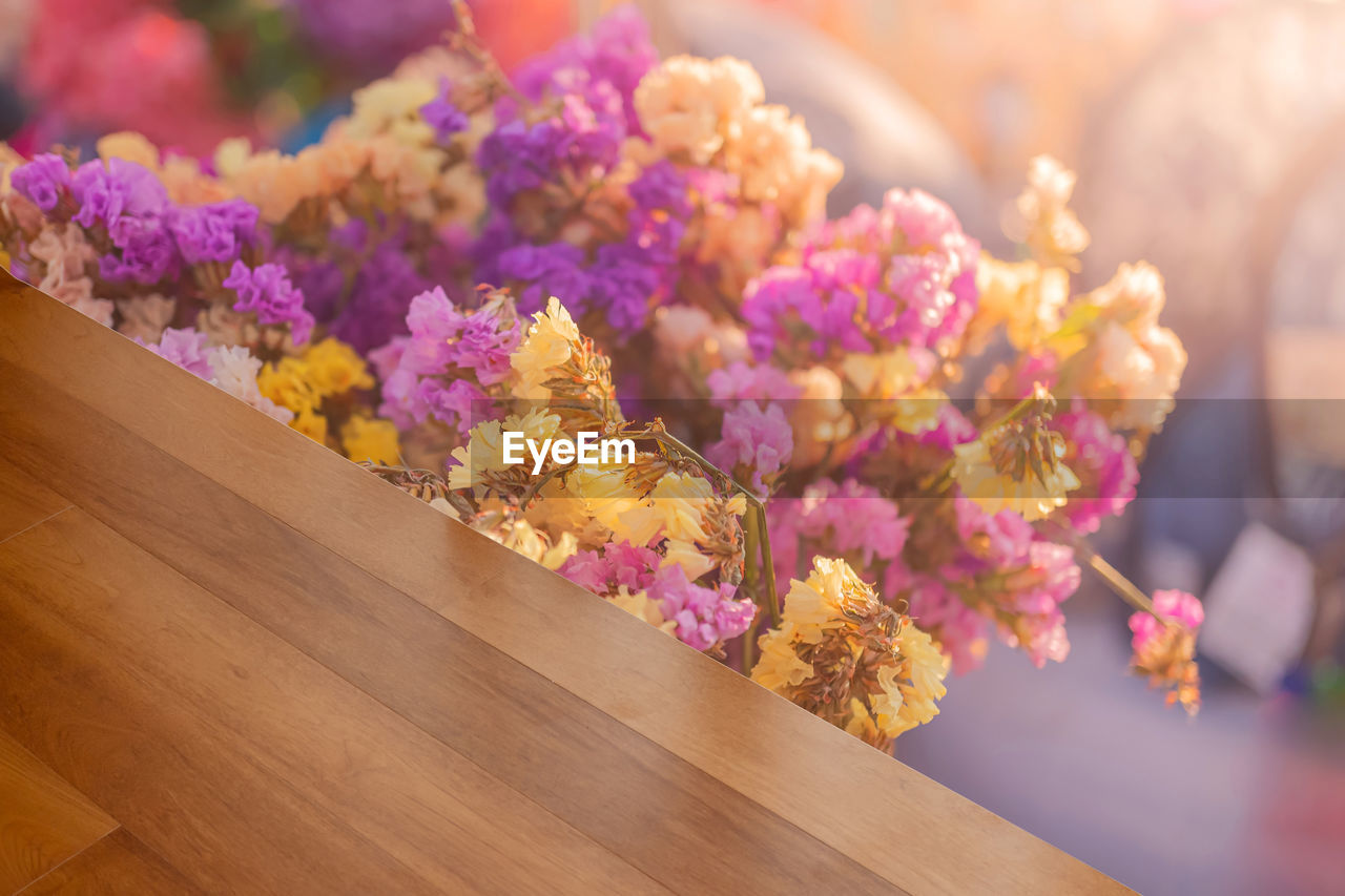 High angle view of pink flowering plant on table