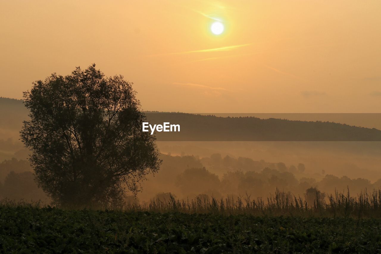 Scenic view of field against sky during sunset