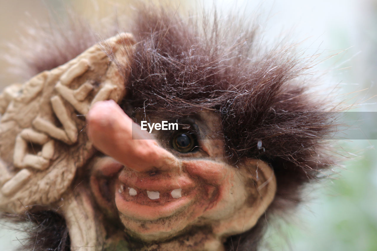 Close-up of troll with text