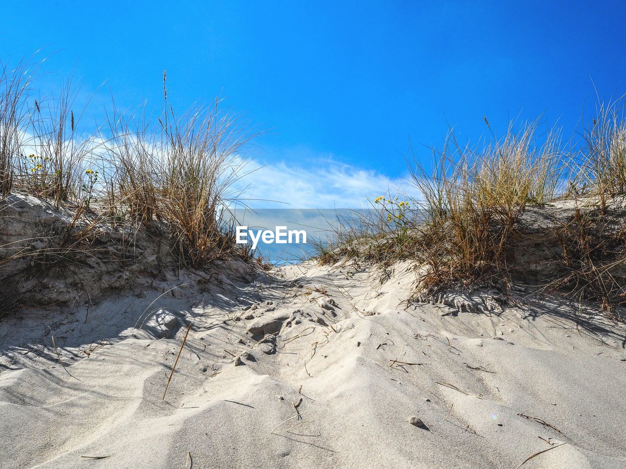 Scenic view of landscape against blue sky