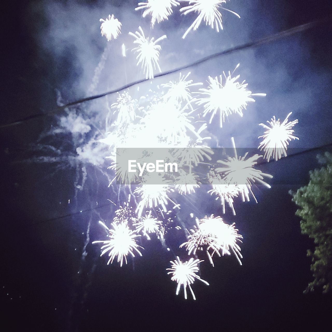 LOW ANGLE VIEW OF FIREWORK DISPLAY IN SKY