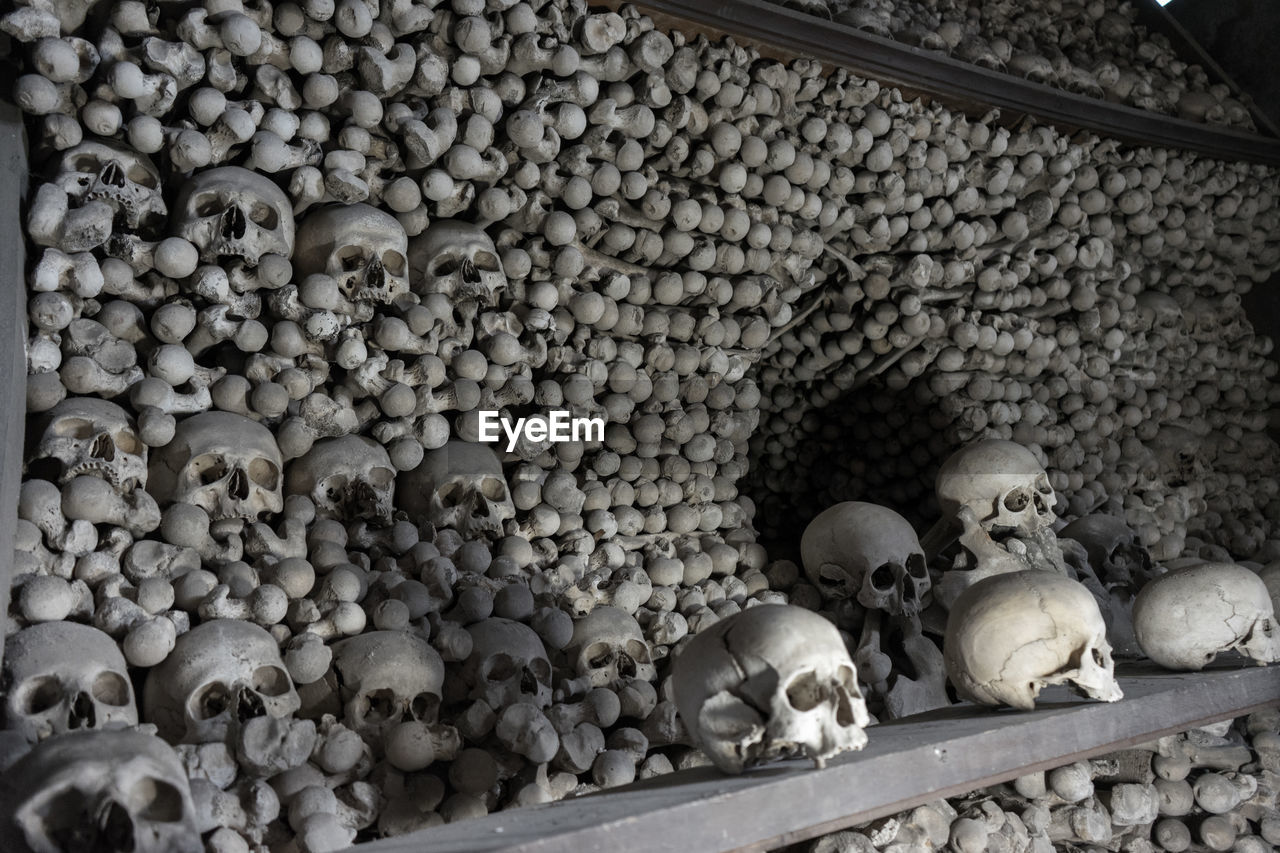 High angle view of human skulls on stones