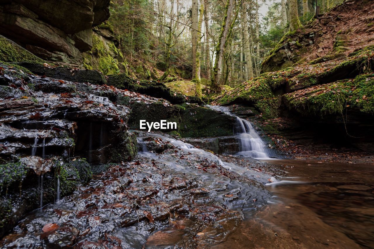 Scenic view of waterfall in forest